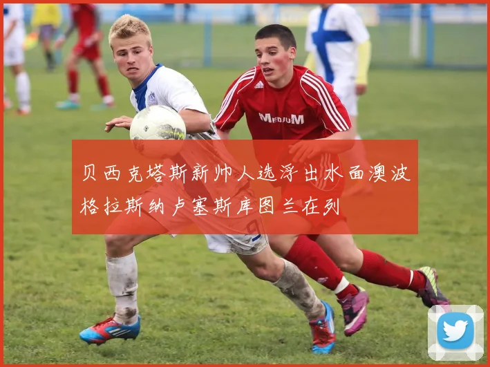 贝西克塔斯新帅人选浮出水面澳波格拉斯纳卢塞斯库图兰在列